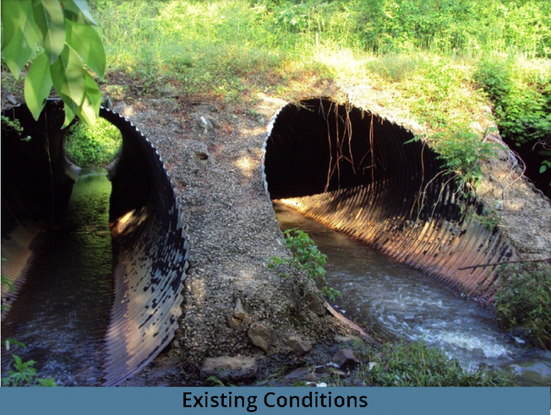 old_senoia_existing_conditions_3-3